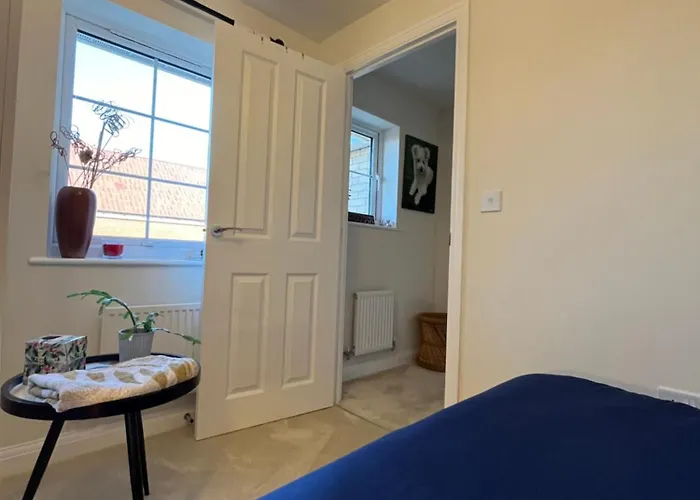 Single Room In Norwich